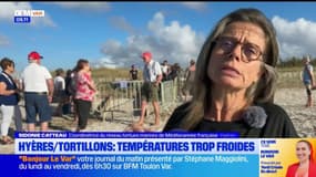 Hyères: les tortillons en péril à cause des températures inhabituellement fraîches