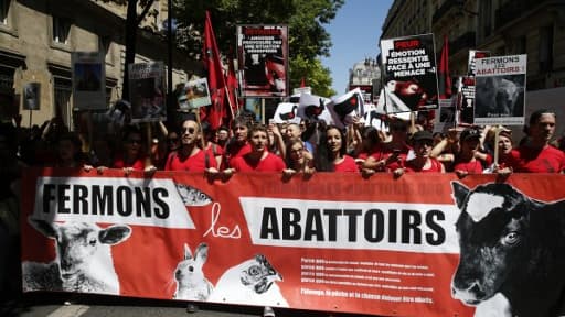 Image d'illustration -Des militants pour la fermeture des abattoirs lors d'une manifestation organisée par L214, le 10 juin 2017.