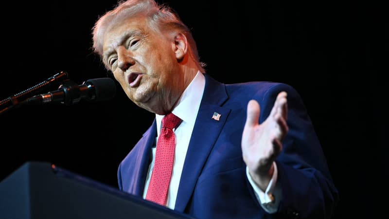 Donald Trump annonce que les États-Unis vont "commencer des frappes au sol" contre les cartels de drogue