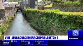 Calvados: une source d'eau menacée par un permis de construire à Vire