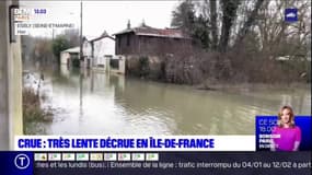 Crues en Ile-de-France: le niveau des cours d'eau baisse très lentement 