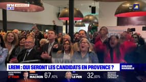 Législatives: qui seront les candidats LaREM en Provence?