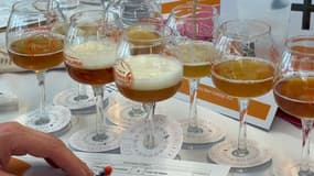 Des verres de bière lors de la 5e édition du "France Bière Challenge" à Lille en 2022.