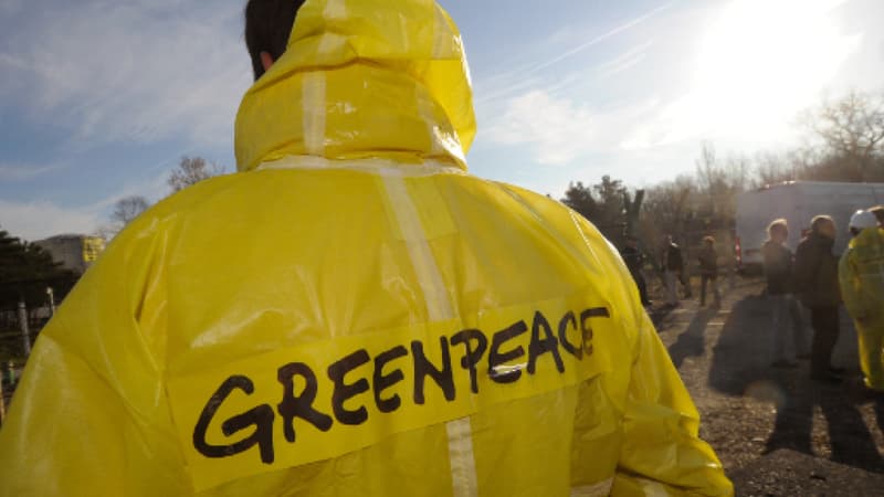 Selon Greenpeace, la liquidation de l'ONG en Russie est "irresponsable et destructrice"  (photo d'illustration)