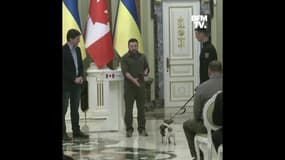 Guerre en Ukraine: Patron, le chien détecteur de bombes, a été décoré d'une médaille d'honneur par Zelensky