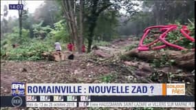 Des militants écologistes opposés à une base de loisirs à Romainville: "détruire une forêt c'est complètement absurde"