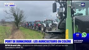 Dunkerque: une centaine d'agriculteurs en colère mobilisés dans la zone portuaire