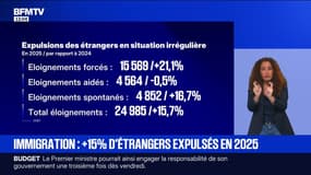 Immigration: les interpellations et expulsions ont augmenté en 2025