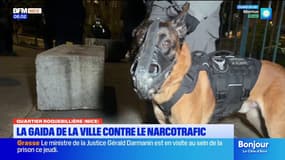 Nice : quel bilan de la brigade Gaïda contre le narcotrafic ?