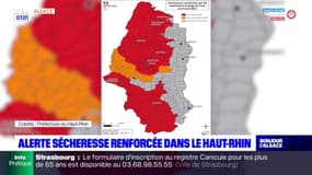 Alerte sécheresse renforcée dans le Haut-Rhin