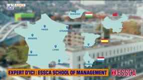 EXPERT D'ICI : ESSCA School of Management