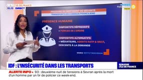 Île-de-France : Que faire pour se sentir plus rassurés dans les transports en commun ? 