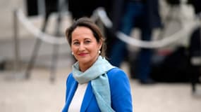 La ministre de l'Environnement Ségolène Royal à l'Elysée, le 4 avril.