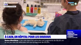 Calvados: à Caen, un hôpital pour les doudous