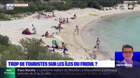 Bouches-du-Rhône: les touristes trop nombreux sur les îles du Frioul? 