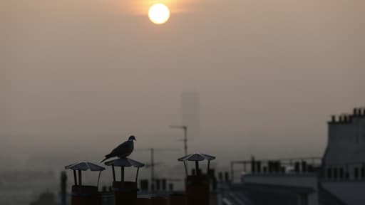 Une épaisse brume de pollution plane sur Paris ces jours derniers.