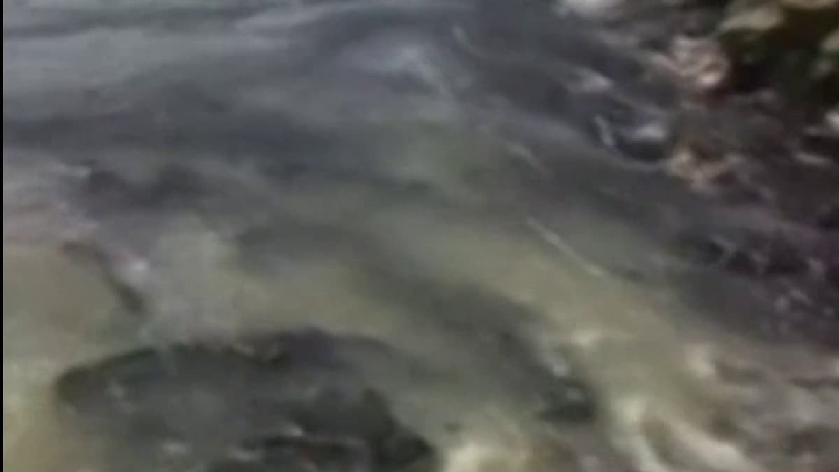 placeholder video