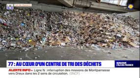 Seine-et-Marne: à la découverte d'un centre de tri des déchets