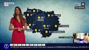 Météo Paris-Île-de-France du 2 juin: Une belle journée estivale