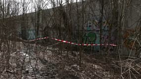 Un sous-bois de Chilly-Mazarin (Essonne) fin février 2024, lieu de découverte du corps du Maïlyss, 18 ans.