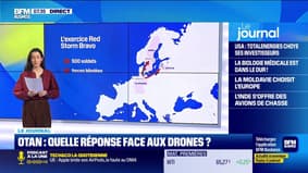 Quelle réponse de l'OTAN face aux drones ?