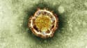Image du coronavirus. L'OMS a lancé lundi une mise en garde alors que le coronavirus (MERS-CoV) a causé un vingt-cinquième décès en Arabie saoudite. L'organisme estime que les services sanitaires de l'ensemble de la planète doivent être en "phase d'alerte