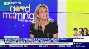 Gaëlle Menu-Lejeune (Fidal) : Fraude fiscale, le plan de Bercy - 10/05