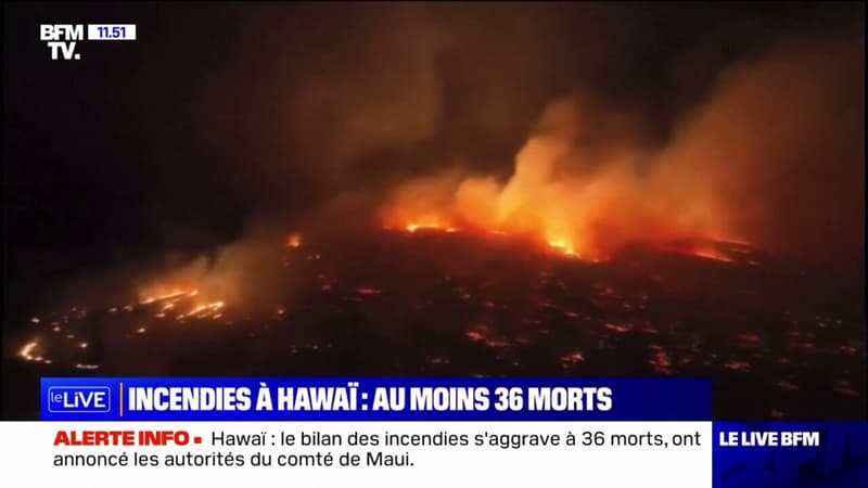 Incendies à Hawaï: un nouveau bilan fait état de 36 morts