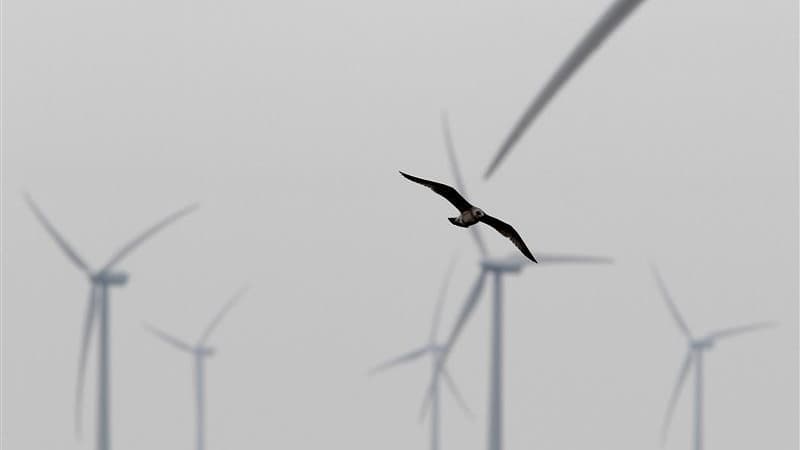 Affranchies des contraintes d'ancrage en profondeur des éoliennes en mer classiques, les premières éoliennes flottantes répondent à la saturation de la bande littorale, en étant installées loin des rivages et des zones de pêche. En France, le bassin médit