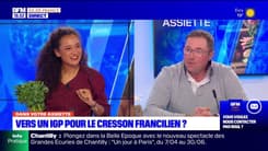 Dans votre assiette du jeudi 18 avril - Vers un IGP pour le cresson francilien ?