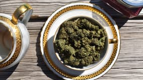Le CBD a des propriétés apaisantes prouvées scientifiquement