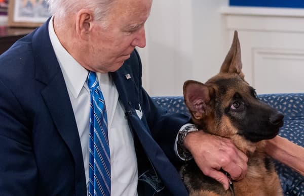 Joe Biden et son chien Commander, en décembre 2021 