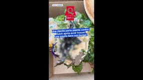 Une cliente porte plainte contre Quick après avoir trouvé une souris dans son burger