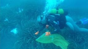 Cannes: opération nettoyage des fonds marins après les feux d’artifices du 14-juillet