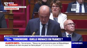 Terrorisme islamiste: "Quand la France prendra-t-elle enfin la mesure de la gravité de la crise?", interroge Olivier Marleix à l'Assemblée