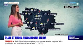 Météo Paris-Ile de France du 30 juin : Pluie et froid