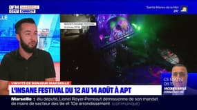 Apt: l'Insane Festival met en place un dispositif contre les piqûres