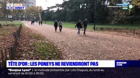 Les poneys au Parc de la Tête d'Or à Lyon, c'est fini !