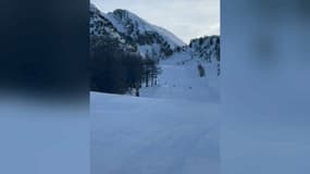 Quelques loups sur les pistes d'Isola 2000 ce dimanche 9 décembre 2025