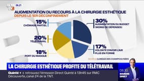 La chirurgie esthétique boostée par l'essor du télétravail