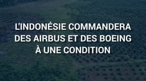 L'Indonésie ne commandera des Airbus et des Boeing que si le kérosène intègre de l'huile de palme