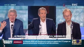 L'interview «Savoir comprendre» : Pr. Pierre Tattevin et Dr. Alain Ducardonnet - 25/06