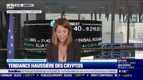 BFM Crypto: Les fondateurs de 3AC s'expriment - 25/07