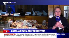 Procès Daval: les experts "n'accréditent pas mais ne rejettent pas non plus" la thèse d'un viol post-mortem