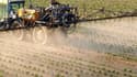 Un agriculteur répandant des pesticides (photo d'illustration)