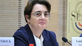La présidente directrice du Louvre Laurence des Cars à l'Assemblée nationale le 22 octobre 2025