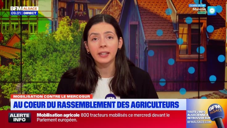 Bonjour Alsace du mercredi 21 janvier 2026