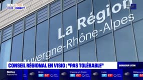 Rhône: le Conseil régional en visioconférence, "un mépris total" pour l'opposition