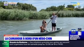 L'été chez vous : la Camargue à bord d'un nègo-chin