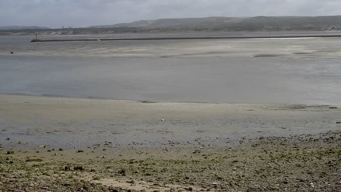 Une plage d'Etaples, l'estuaire de la Canche dans le Pas-de-Calais. (PHOTO D'ILLUSTRATION)